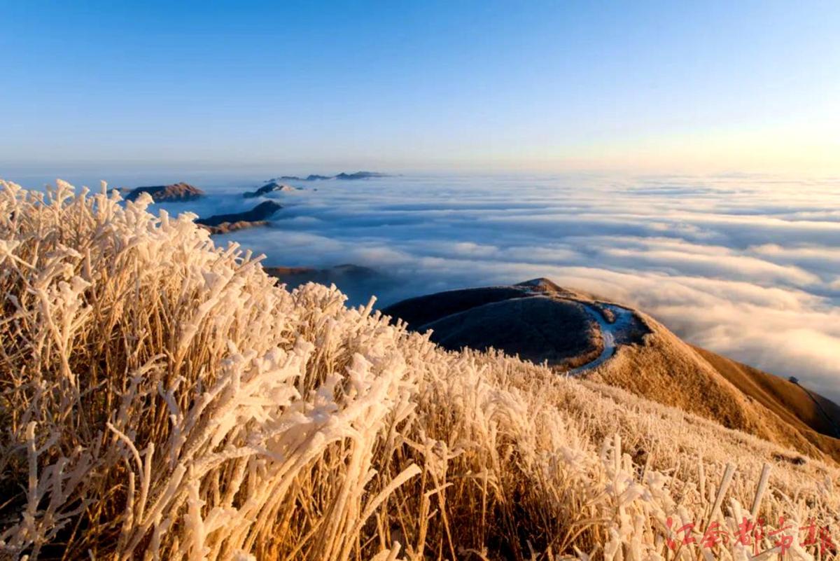 萍鄉(xiāng)武功山：霧凇云海，銀裝素裹